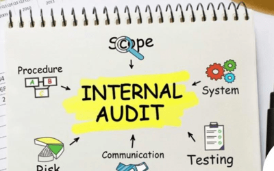 Value Assessment & Re-Engineering of internal audit functions