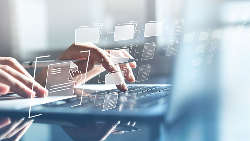 IT professionals planning a project.